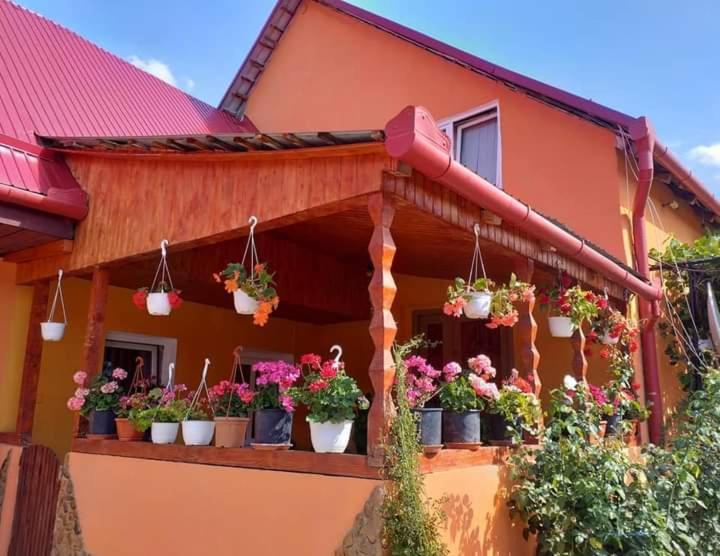 Casa Florilor Barcut Apartment Exterior photo