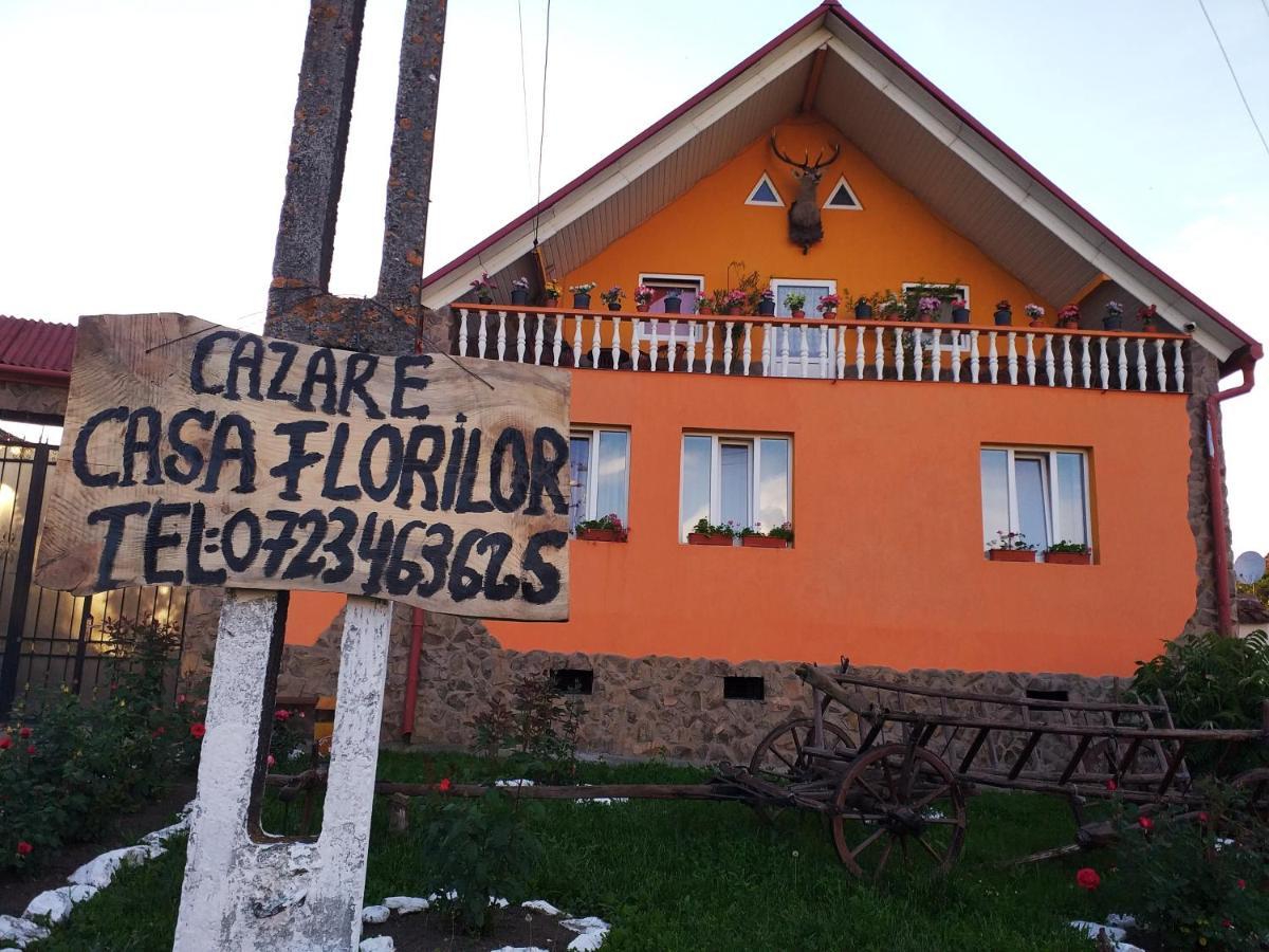Casa Florilor Barcut Apartment Exterior photo