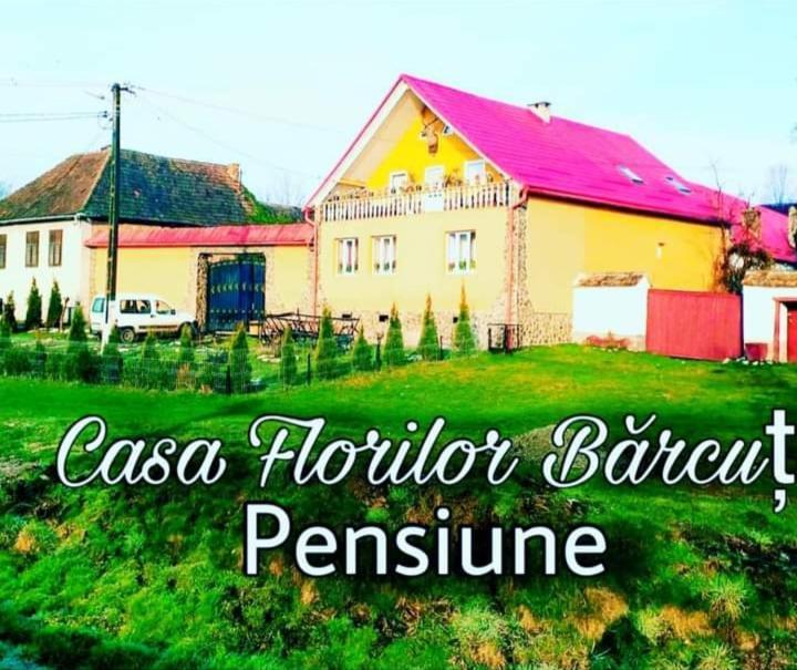 Casa Florilor Barcut Apartment Exterior photo
